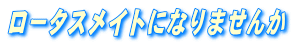 [^XCgɂȂ܂